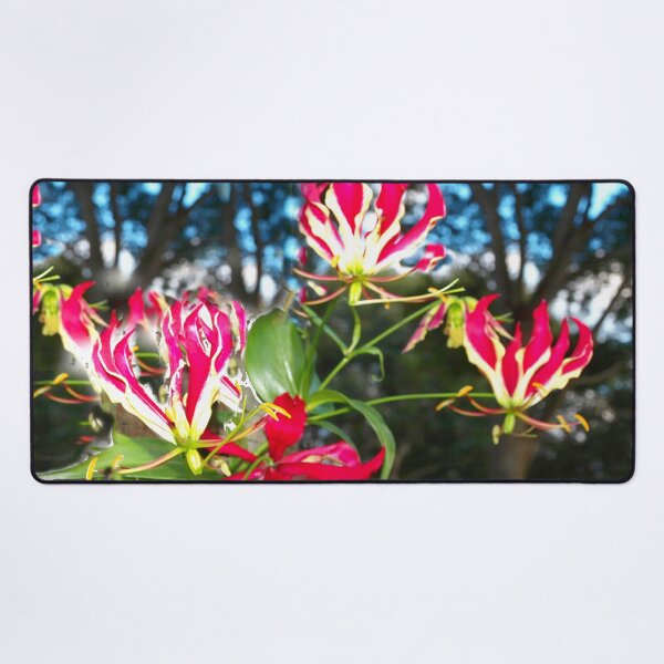 Item preview, Gloriosa lilies against a fence designed and sold by B. Randi Bailey.