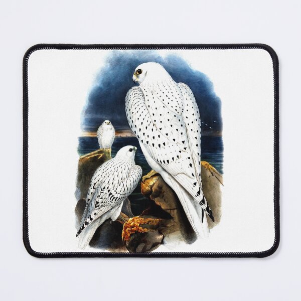 Item preview, Greenland Falcon designed and sold by mrtom414.