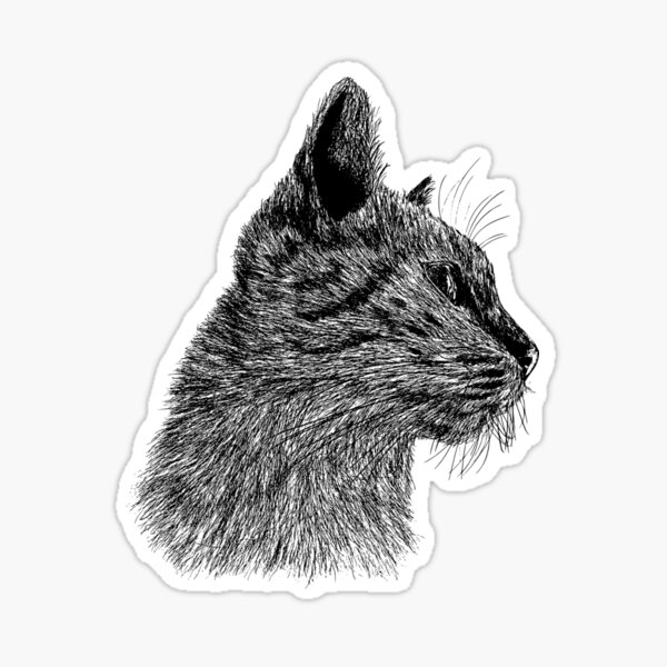 Cute Cat PFP Sticker for Sale by thetechnopath