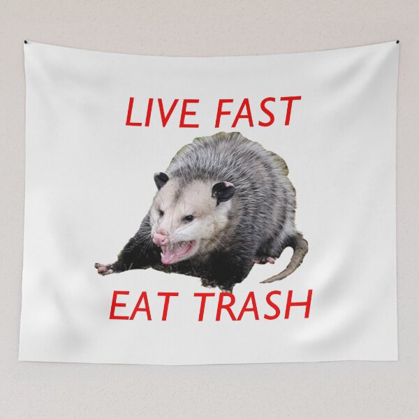 Item preview, Live Fast! Eat Trash! Possum - White designed and sold by royalblewitup.
