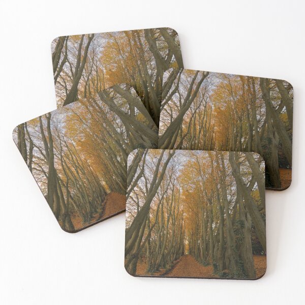 Item preview, Autumn Tree TunnelAutumn Tree Tunnel designed and sold by duncan1980uk.