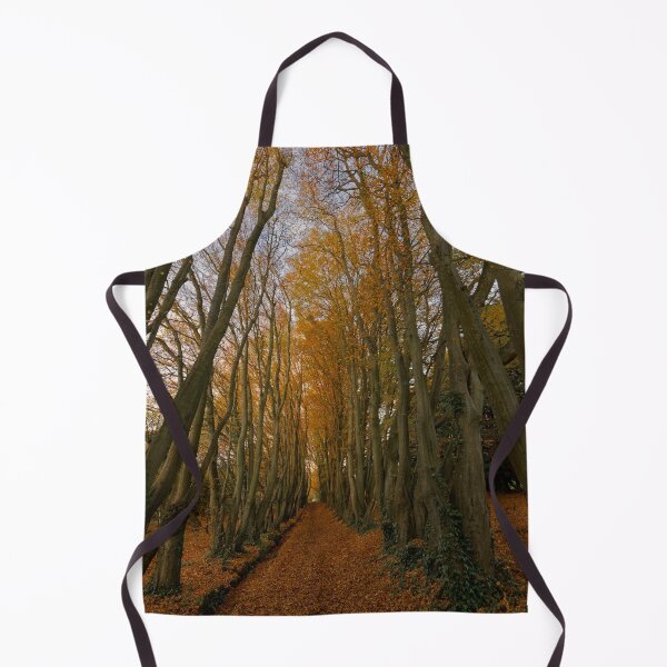 Item preview, Autumn Tree TunnelAutumn Tree Tunnel designed and sold by duncan1980uk.