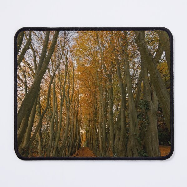 Item preview, Autumn Tree TunnelAutumn Tree Tunnel designed and sold by duncan1980uk.
