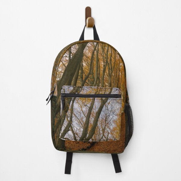 Item preview, Autumn Tree TunnelAutumn Tree Tunnel designed and sold by duncan1980uk.