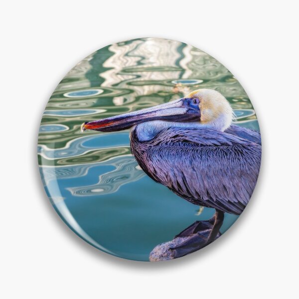 Item preview, Pelican At Rest designed and sold by Kay Brewer.