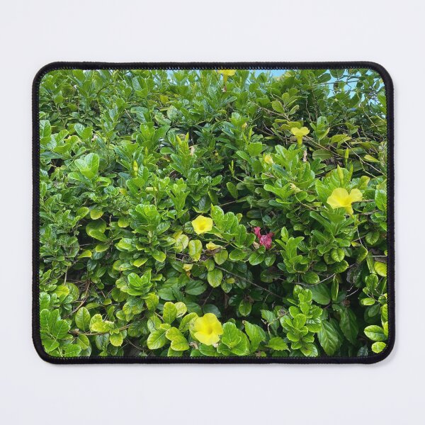 Item preview, Green bush with yellow flowers designed and sold by NatureHelpsYou.