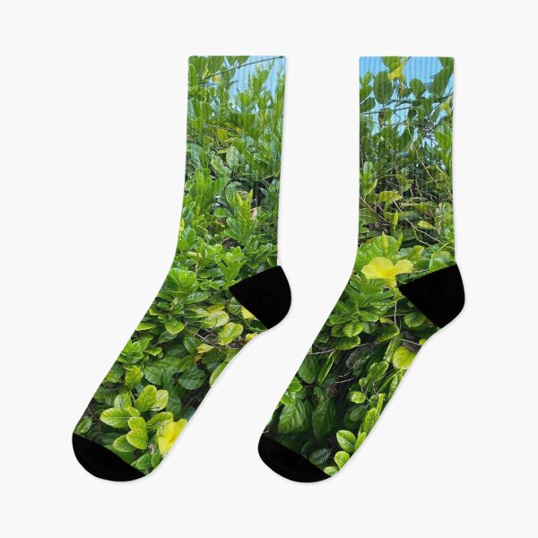 Item preview, Green bush with yellow flowers designed and sold by NatureHelpsYou.