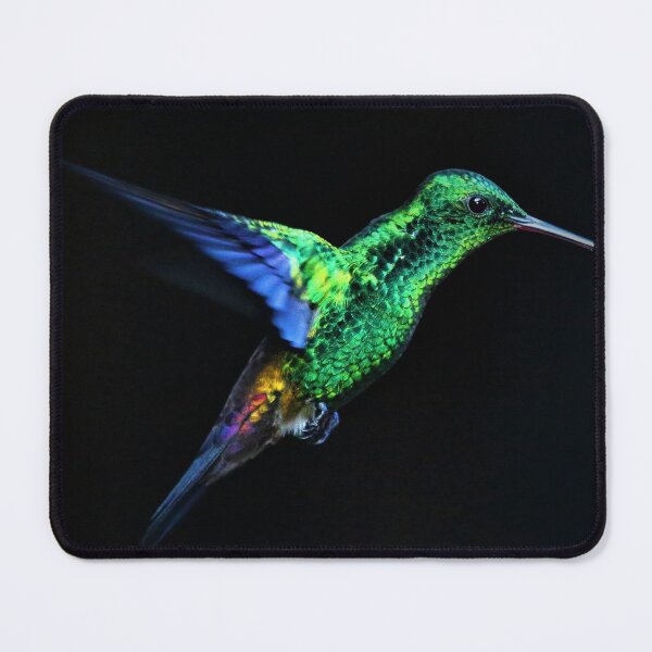 Item preview, Hummingbird blue and green colours on black background designed and sold by hoober24.