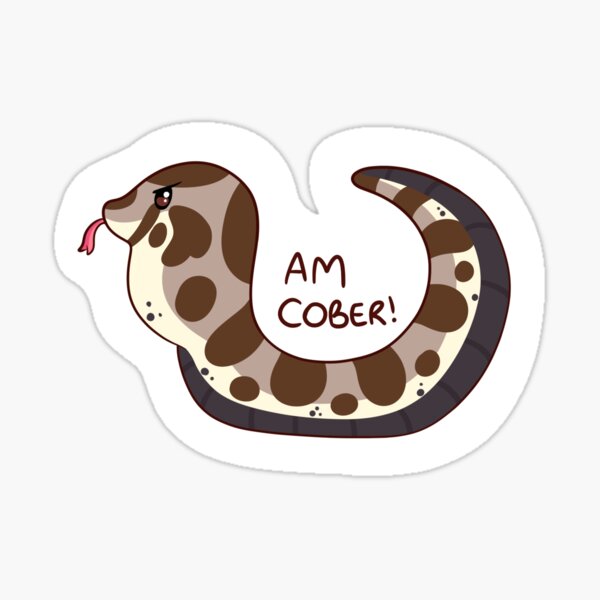 Am cober - western hognose snake  Sticker