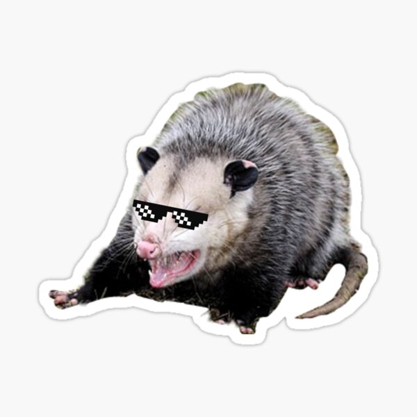 Possum Thug Life - Black Background Sticker