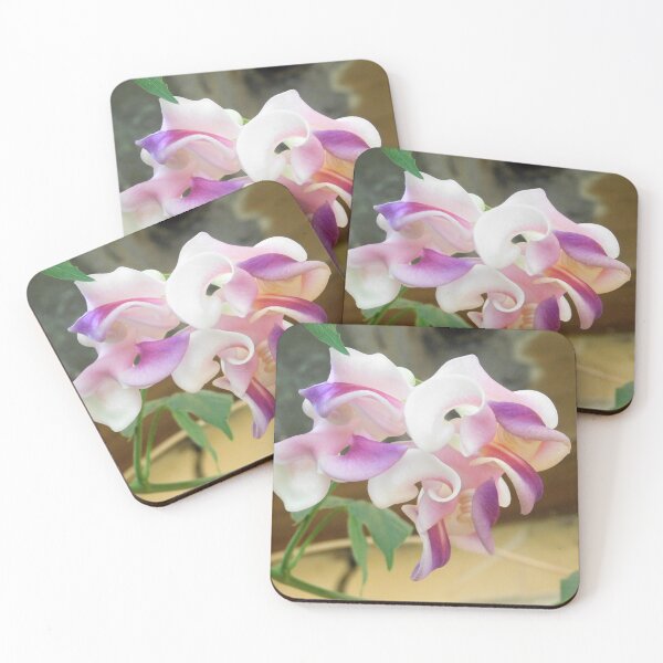 Item preview, Snail Vine designed and sold by Aroundabout.