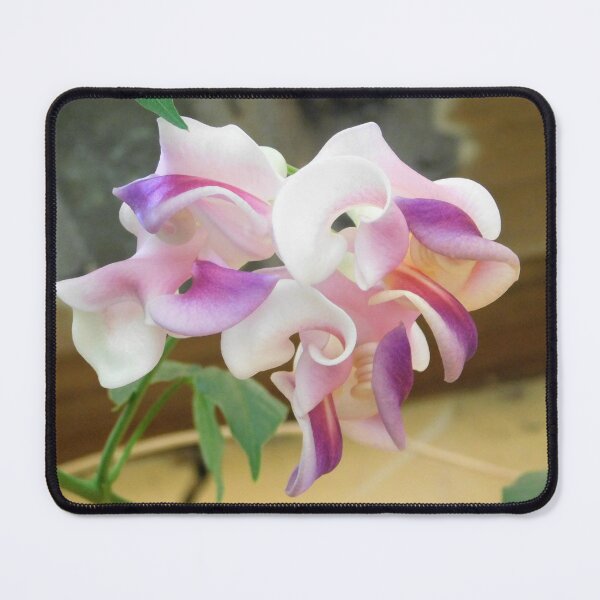 Item preview, Snail Vine designed and sold by Aroundabout.