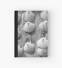 Scallop shells Hardcover Journal