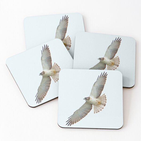 Item preview, Hawk designed and sold by MorningFive.