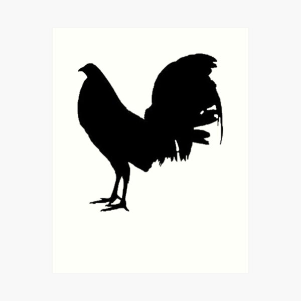 Rooster Fighting Stock Illustrations  444 Rooster Fighting Stock  Illustrations Vectors  Clipart  Dreamstime