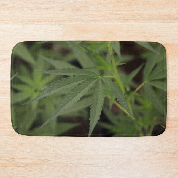 Artikelvorschau, Hanfblätter, medizinisches Cannabis, Marihuanablatt, Indica, Sativa entworfen und verkauft von IMPHives.