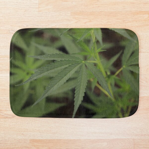 Item preview, Hemp leaves, Medical Cannabis, Marijuana leaf, Indica, Sativa  designed and sold by IMPHives.