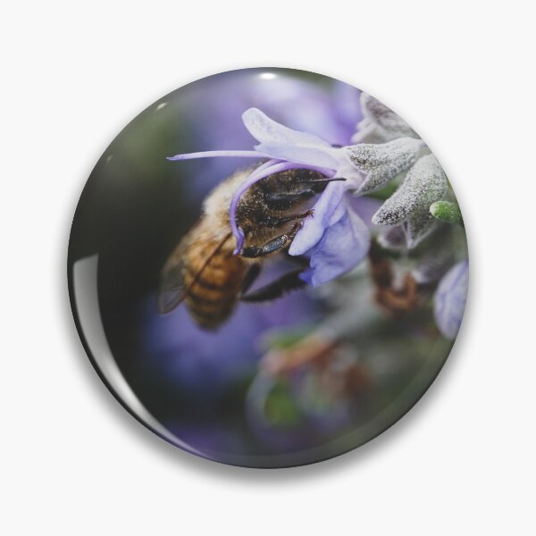 Item preview, A Busy Little Bee in a Rosemary Flower in Portland, Oregon designed and sold by caitriderphoto.