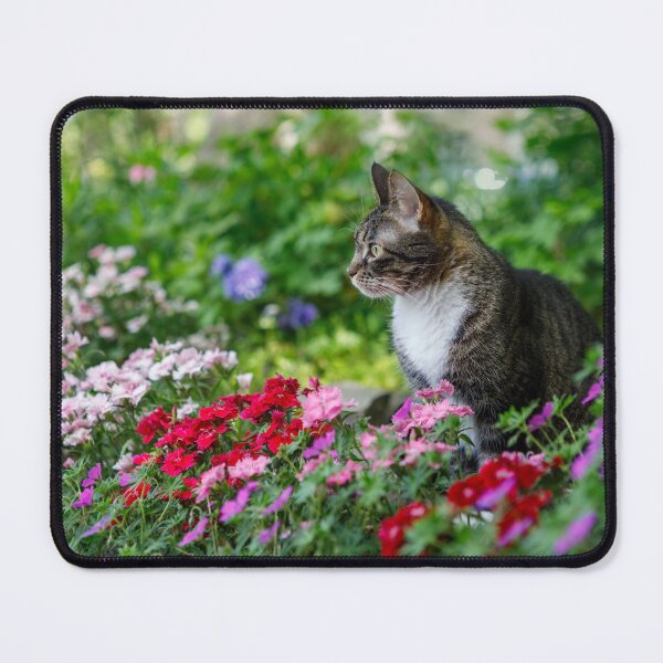 Item preview, Cat in the Garden designed and sold by Leslie Banks.