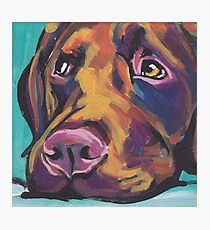 Schokoladen-Labrador retriever-Hund Helle bunte Pophundekunst Fotodruck