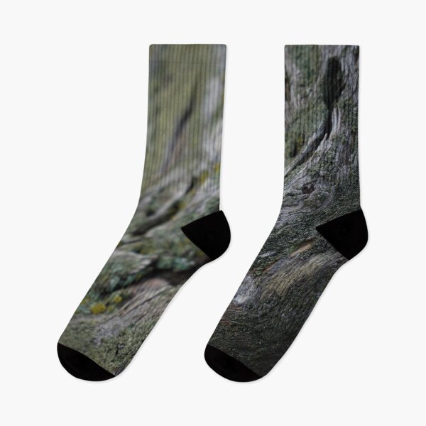 Item preview, Curved Bark designed and sold by caitriderphoto.