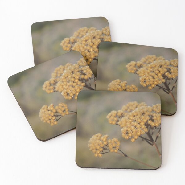 Item preview, Dusty Florals at Smith Rock, Oregon designed and sold by caitriderphoto.