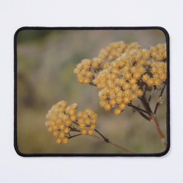 Item preview, Dusty Florals at Smith Rock, Oregon designed and sold by caitriderphoto.
