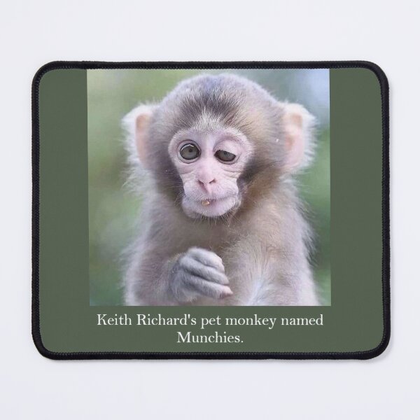 Item preview, Keith Richard's pet monkey named Munchies designed and sold by Maddie4Real.