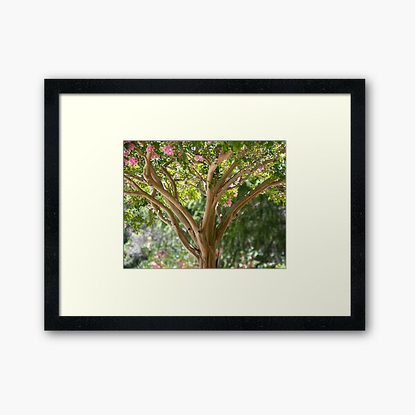 Item preview, Pink Crape Myrtle designed and sold by randymir.