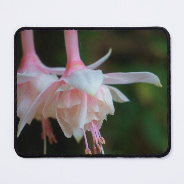 Item preview, Delicate Flower designed and sold by caitriderphoto.