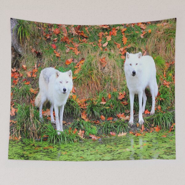 Item preview, Our First Meeting designed and sold by Vicki Spindler (VHS Photography).