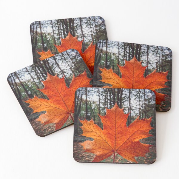 Item preview, Fall Leaves designed and sold by caitriderphoto.