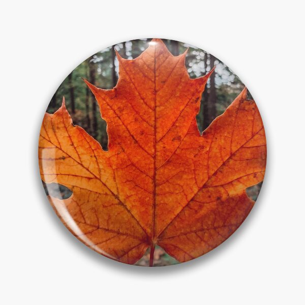 Item preview, Fall Leaves designed and sold by caitriderphoto.