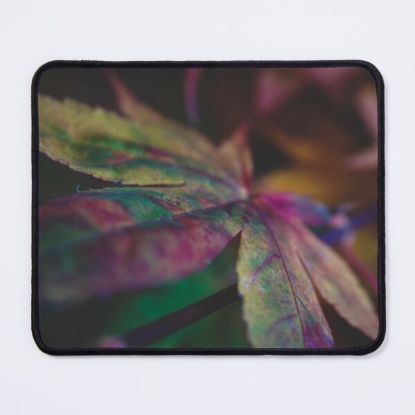 Item preview, Maple Leaves in Autumn, Portland Oregon designed and sold by caitriderphoto.