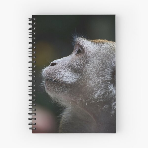 Item preview, Mono designed and sold by JagerWorks.