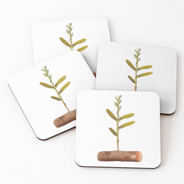 Item preview, Vintage Botanical  designed and sold by bookishneighbor.