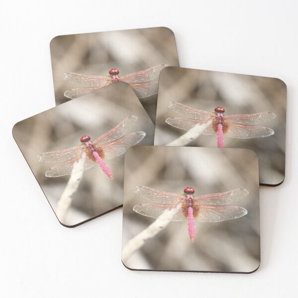 Item preview, Pink Lady Dragonfly designed and sold by Maddie4Real.