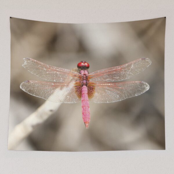 Item preview, Pink Lady Dragonfly designed and sold by Maddie4Real.