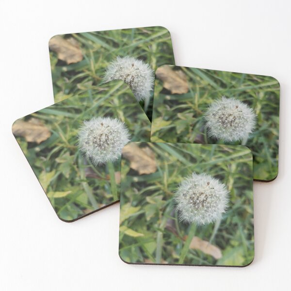 Item preview, Dandelion in the park, fall 2020 designed and sold by briliantbg.