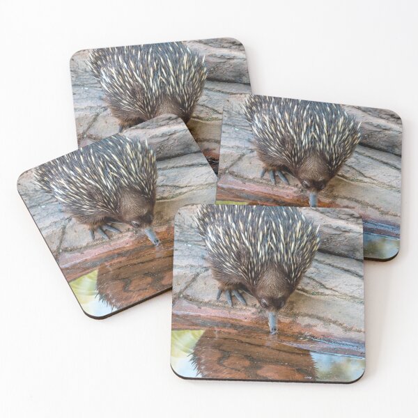 Item preview, Echidna Enjoying A Cool Drink designed and sold by Andrew Goodall.