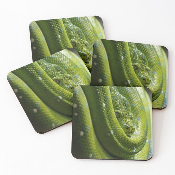 Item preview, Green Tree Python, Australian Reptile designed and sold by Andrew Goodall.