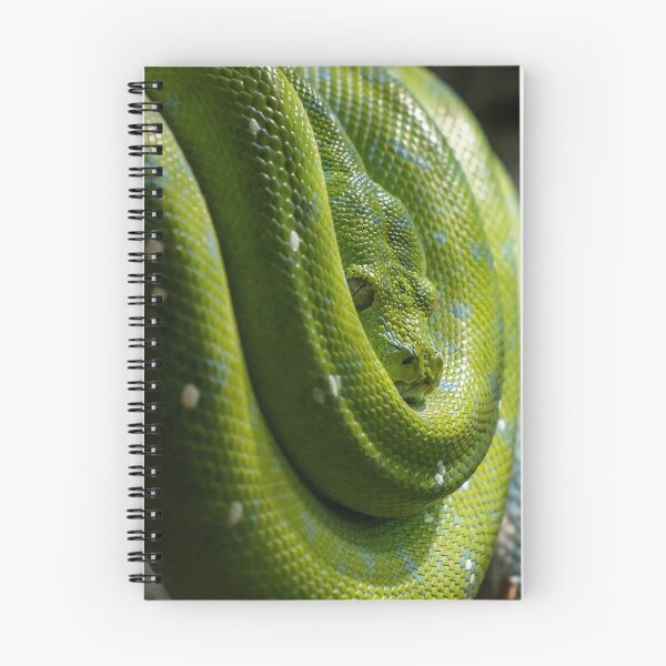 Artikelvorschau, Grüner Baumpython, australisches Reptil entworfen und verkauft von Andrew Goodall.