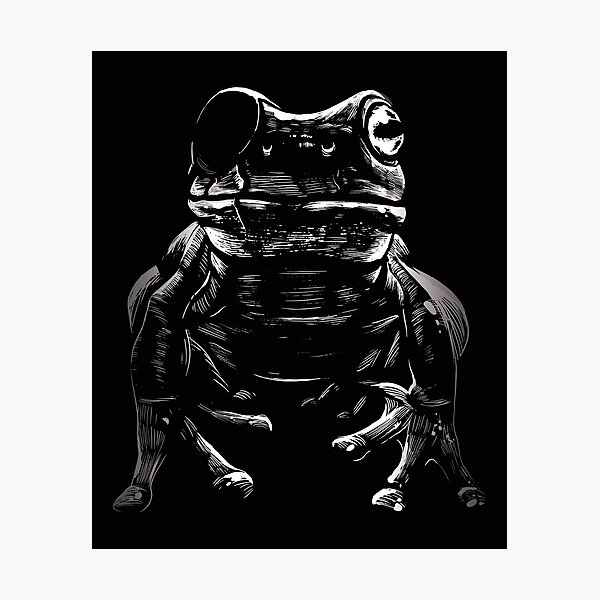 Frog Pirate Photographic Prints for Sale