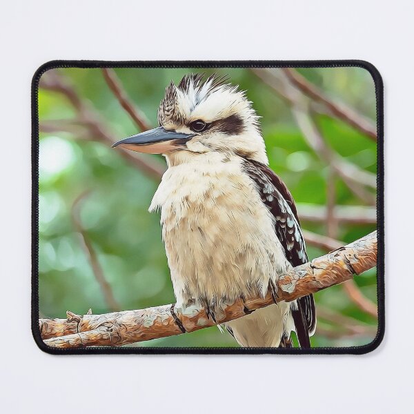 Item preview, Kookaburra: Photography plus digital art designed and sold by Andrew Goodall.