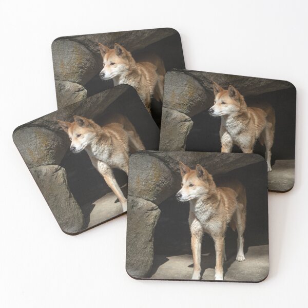 Item preview, Dingo: Australian Native Dog designed and sold by Andrew Goodall.