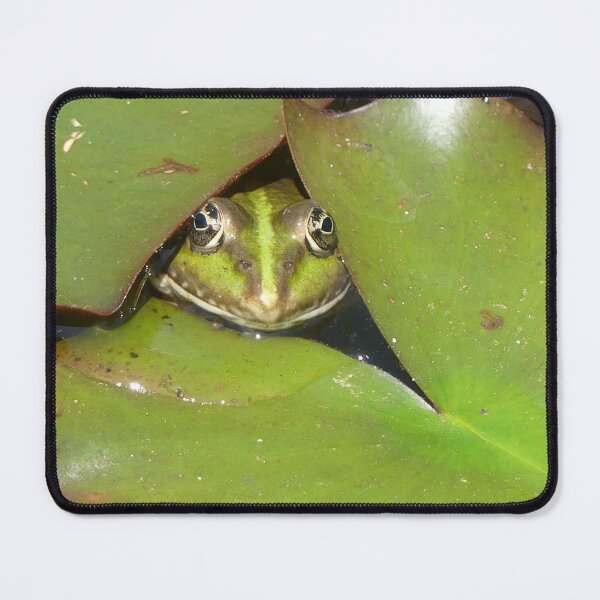 Item preview, frog designed and sold by rachariedel.