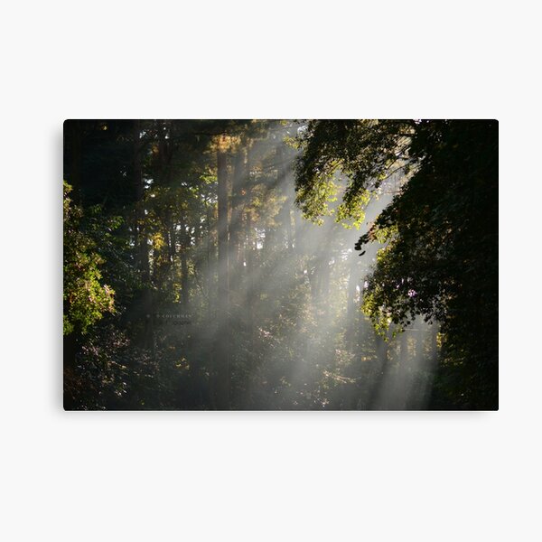 " Sacrament " Canvas Print