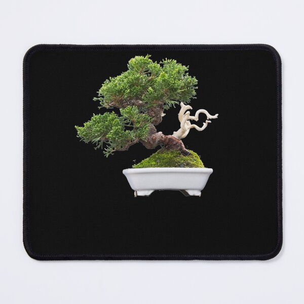 Item preview, Pine Bonsai Tree designed and sold by Click-Like.