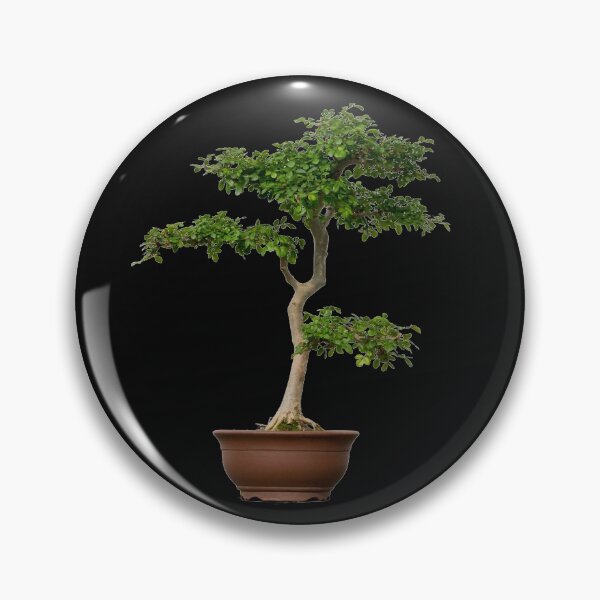 Item preview, Pine Bonsai Tree designed and sold by Click-Like.