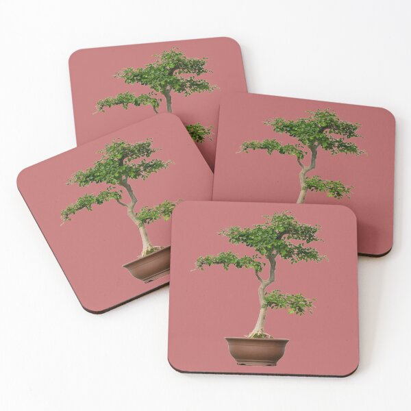 Item preview, Pine Bonsai Tree designed and sold by Click-Like.